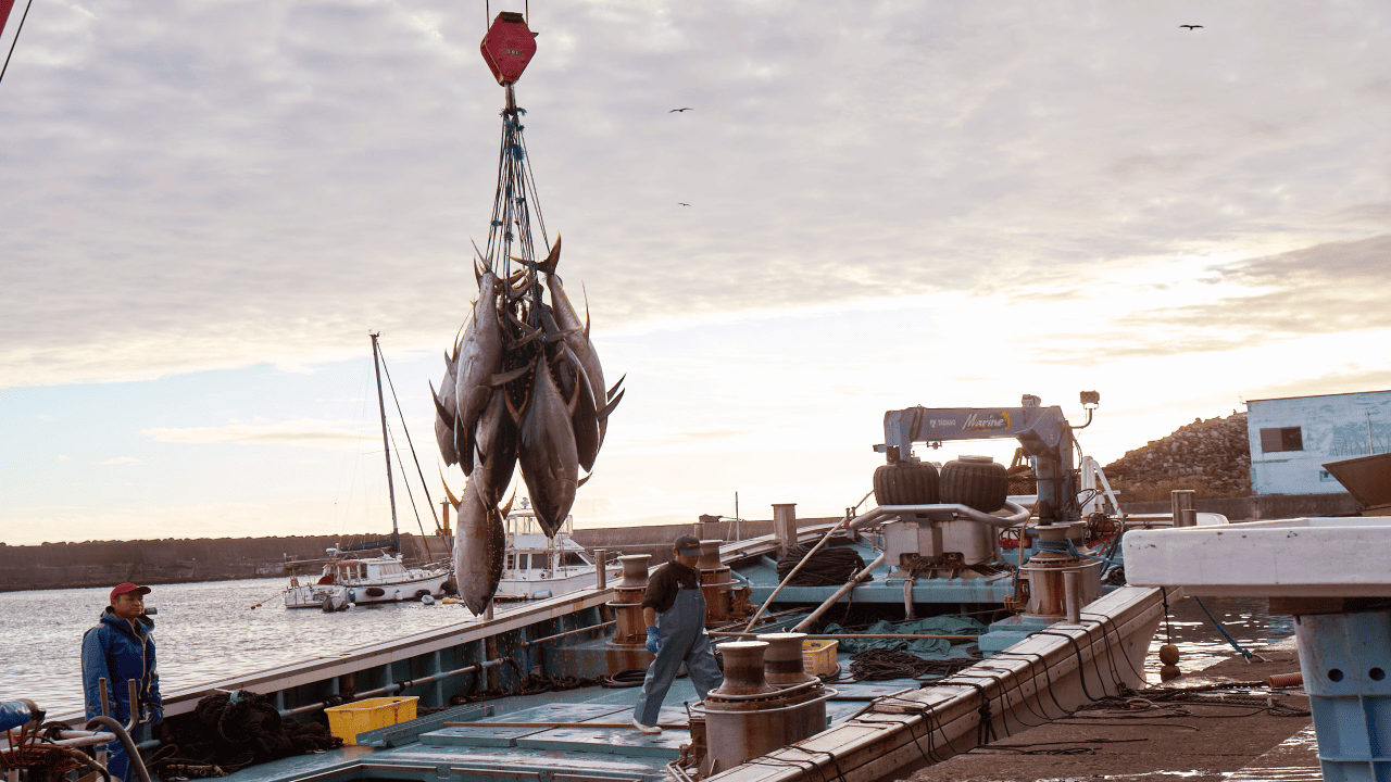 From the joy of primary producers to smiles at the table